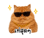 842773517
