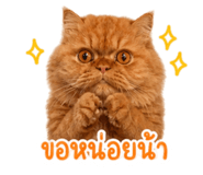 842773518