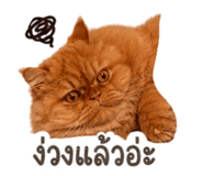 842773520