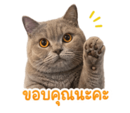 842773819