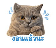 842773820
