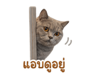 842773831