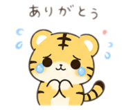 842774062