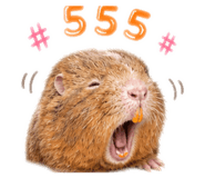 842774210
