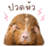 842774218