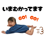 842774418