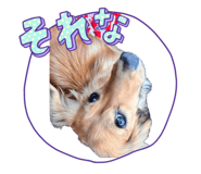 842774703