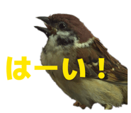 842774922