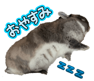 842775186