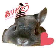 842775188