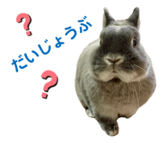 842775192