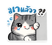 842775415