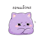 842788981