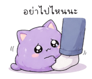 842788987