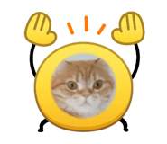 842789414