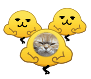 842789420