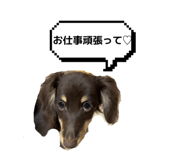 842791072