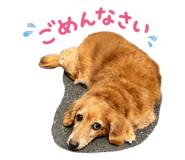 842791391
