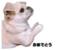 842791420