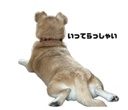 842791425