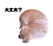 842791439