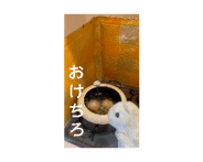 842791509