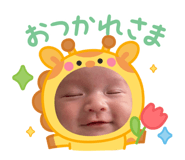 842791531