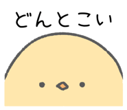 842791944