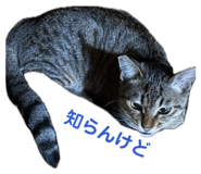 842792395