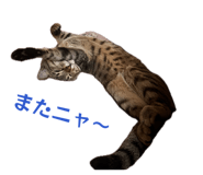 842792400