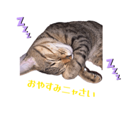 842792403