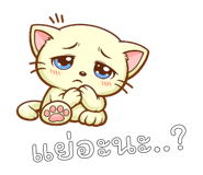 842793538
