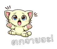 842793540