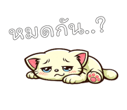 842793543