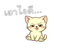 842793544