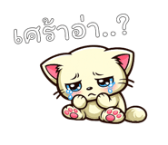 842793546