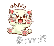 842793551