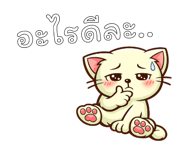 842793553