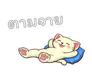 842793562