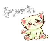 842793564