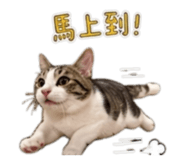 842795133