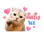 842795948