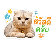 842795950