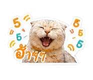 842795953