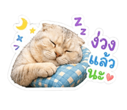 842795958