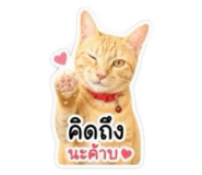 842795962