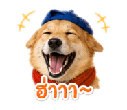 842795985