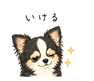 842796856
