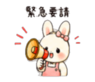 842796916