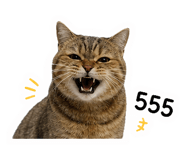 842797027